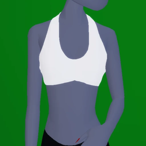 Halter Neck Crop Top