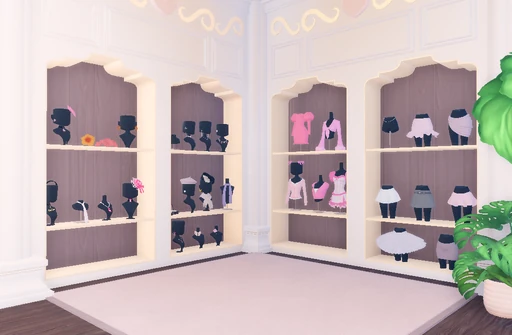 Jewelry & Clothing Shelf