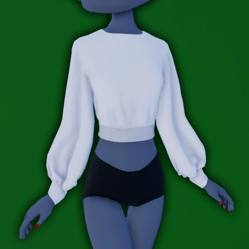 Bishop Sleeve Top