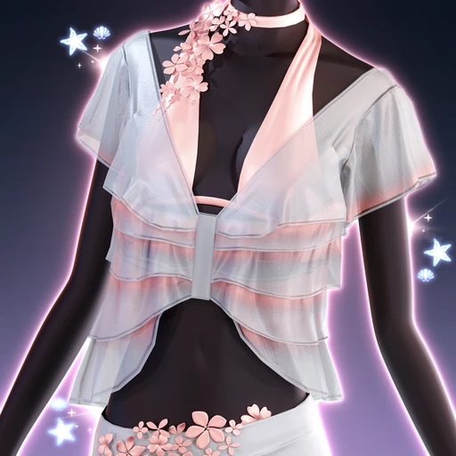 Applique Top