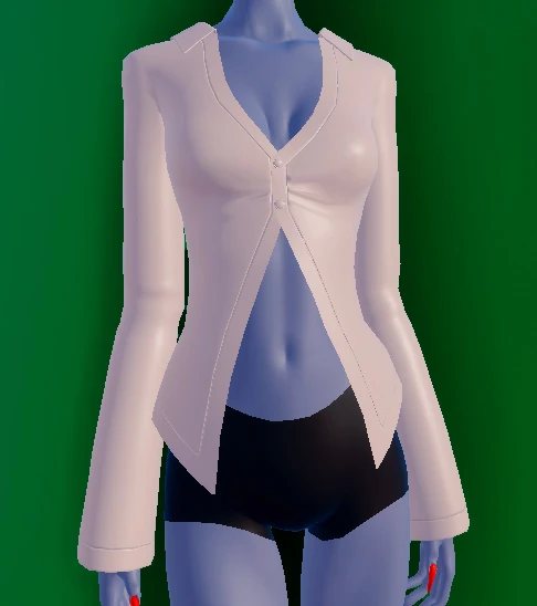 Split Blouse
