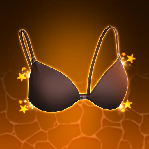 Swimsuit Top