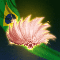 Brazil Fan