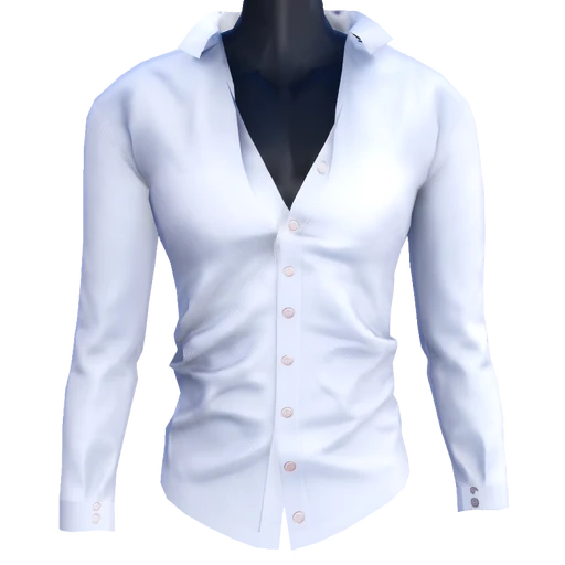 Button-Down Shirt