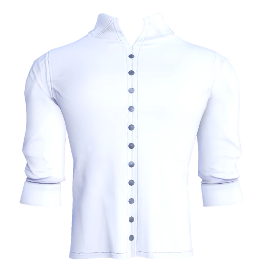ButtonDownShirt.png