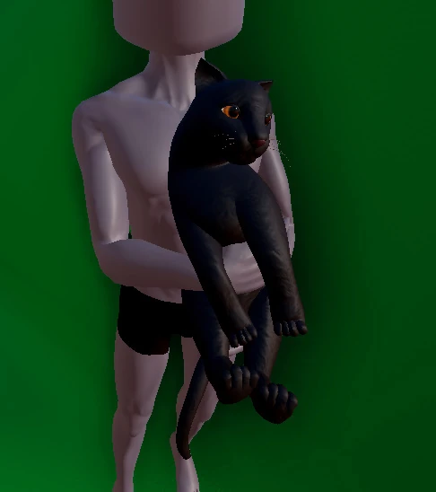 Caseoh's Kitty (Male).jpg