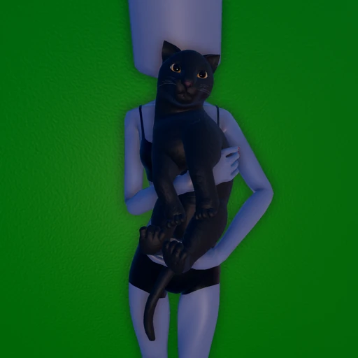 Caseoh's Kitty.png