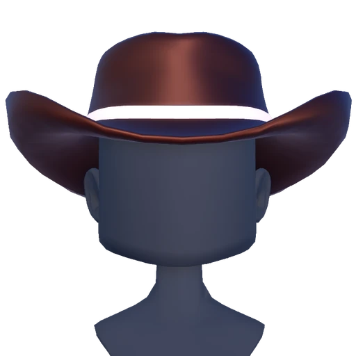 Cowboy Hat