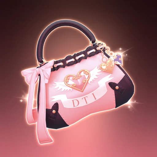 DTI Bag