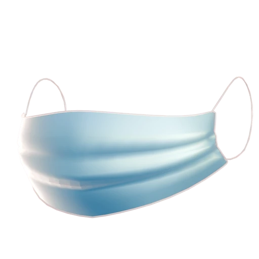 Face Mask