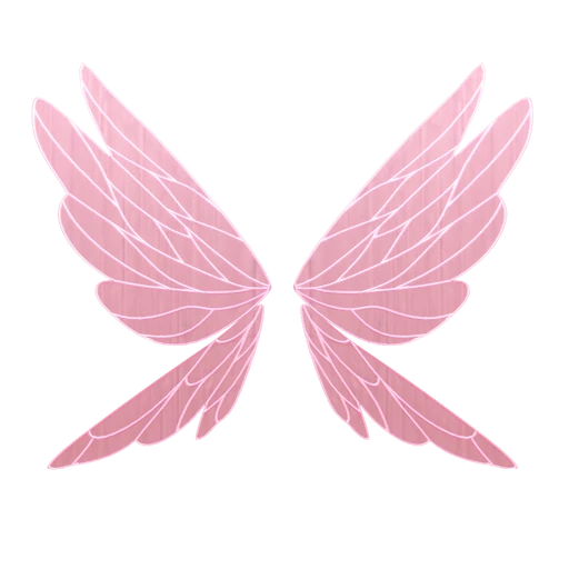 Fairy Wings
