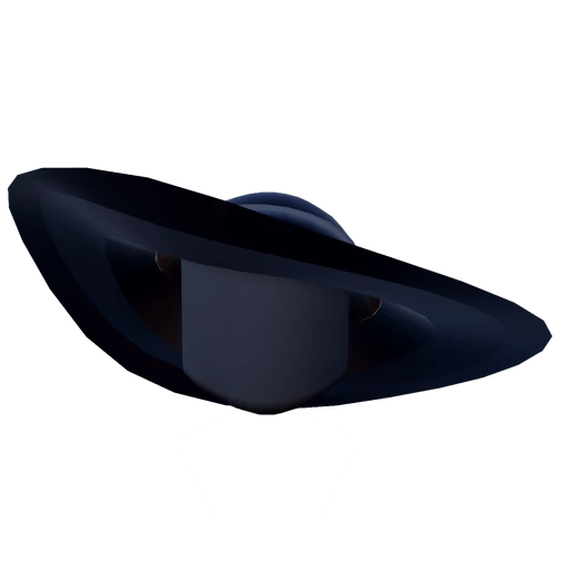 Glamorous Sunhat