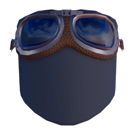 Goggles