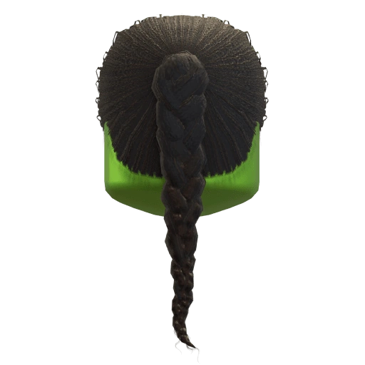 Elphaba's Shiz Hair