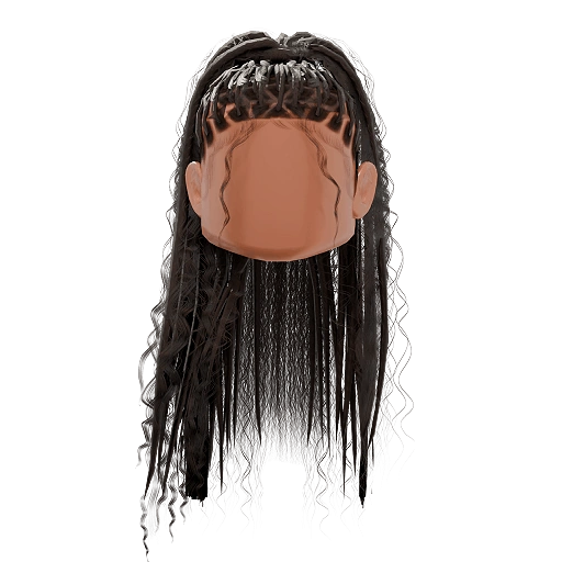Fulani Braided Ponytail Hair