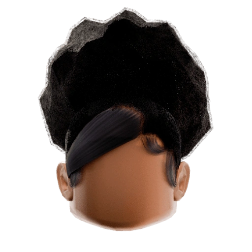 Afro Puff Bun Hair