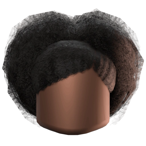 Double Afro Puff Hair