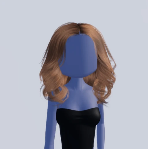 Hairfromdtisretiredasset