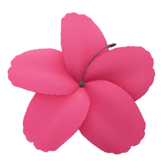 Hibiscus Flower (Old).png
