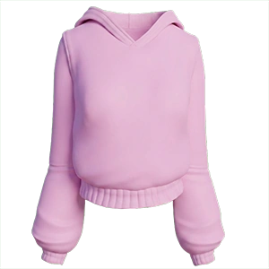 Hoodie (Old) - Render.png