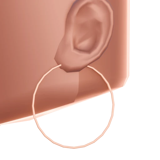 Hoop Earrings