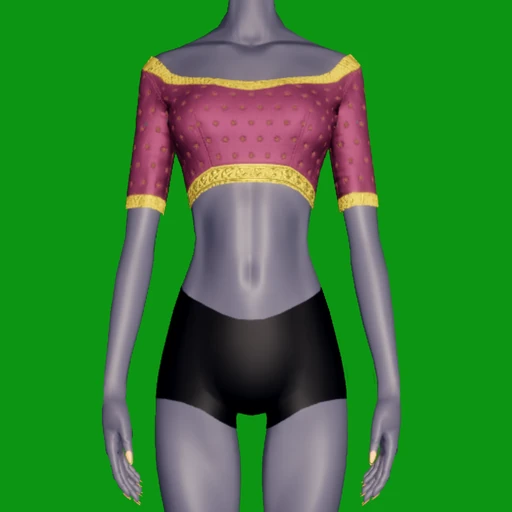 India Fem Top