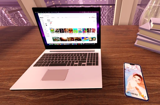 Laptop & Phone