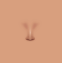 Male nose 4