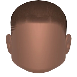 MaleHair12