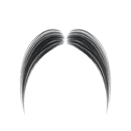 MaleHair17