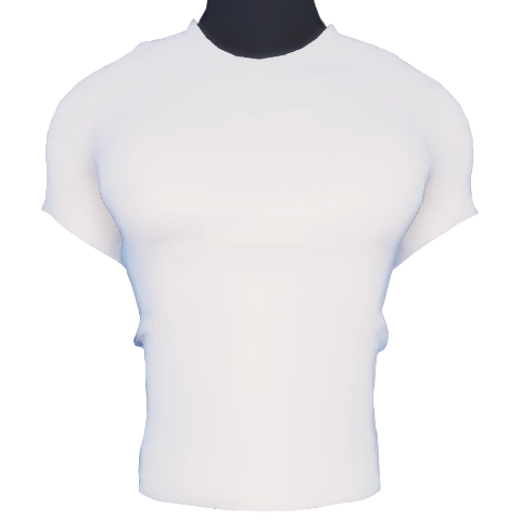 Men's Crew Neck T-Shirt