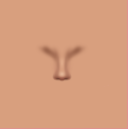 Nose 3