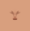 Nose 4