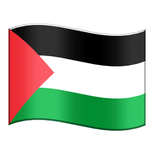 Palestine Flag
