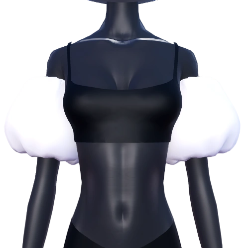 Puff Sleeves