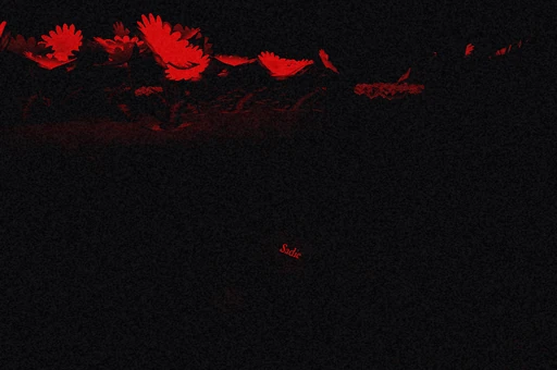 Under (Sadie's Grave)