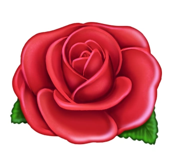 Rose Runway Effect - Icon