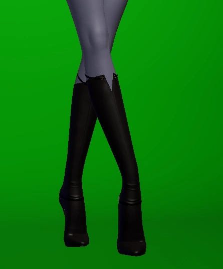 Stiletto Boots - F.png