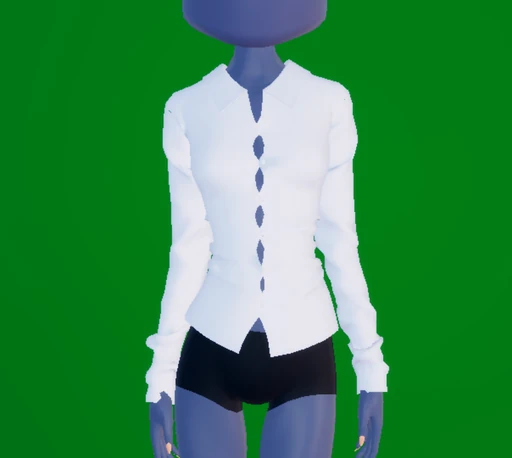 Stylish Blouse.png