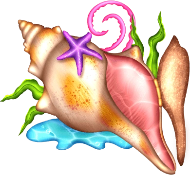 Summer Collection Icon