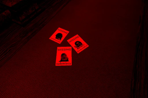 Door #4 Secret room (View #2)
