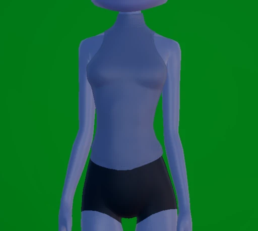 Sleeveless Turtleneck