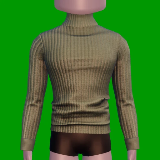 Turtleneck Top - M - Toggle 1.png