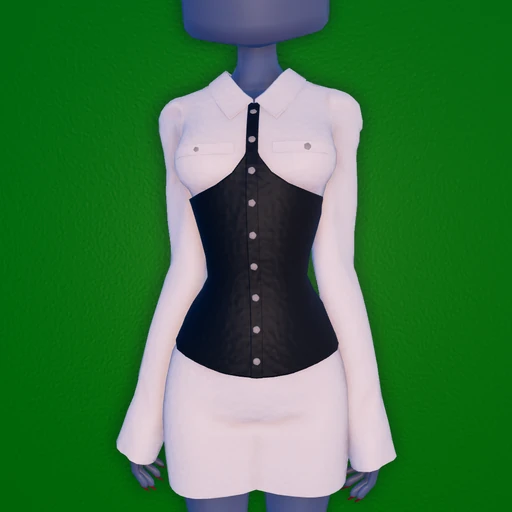 Corset Shirt Dress