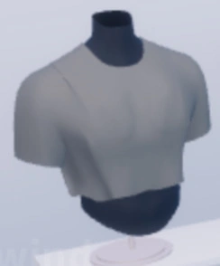 Men's Crop Top