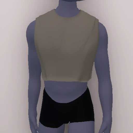 Men's Sleeveless Crop Top