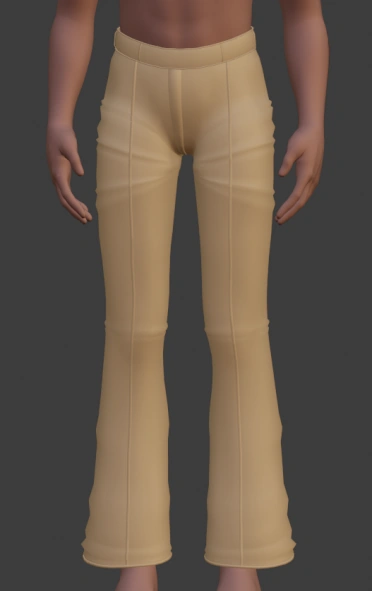 Cargo Pants[27]
