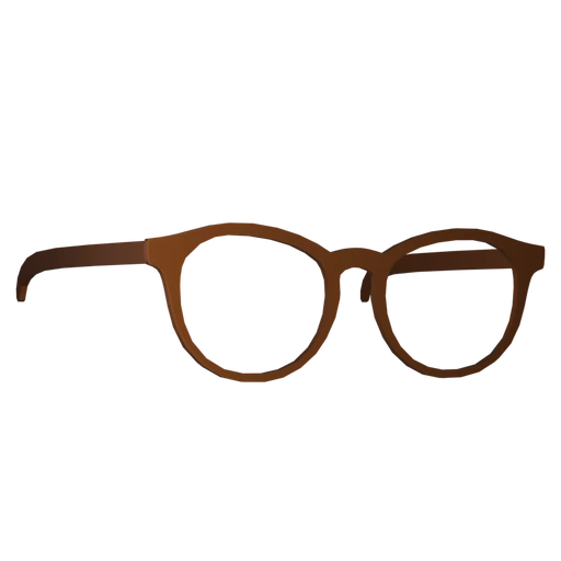 Wayfarer Glasses