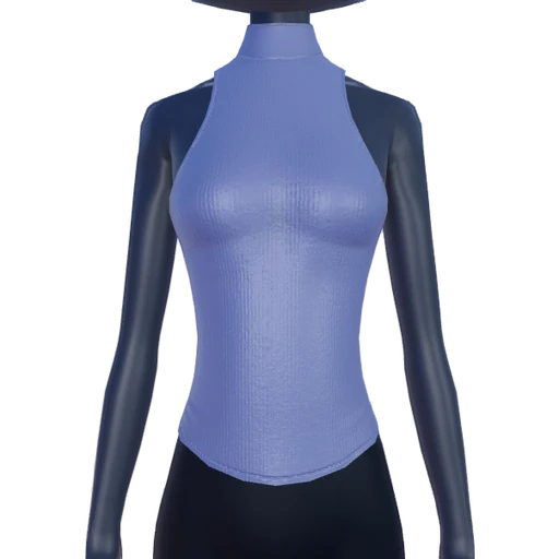 Sleeveless Turtleneck